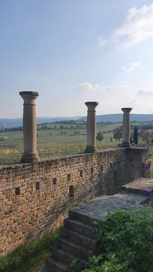 Hotel Pension Ernst Im Herzen Des Pfaelzerwaldes Mit Kueche Elmstein Esterno foto