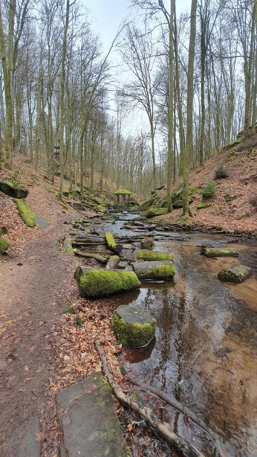 Hotel Pension Ernst Im Herzen Des Pfaelzerwaldes Mit Kueche Elmstein Esterno foto