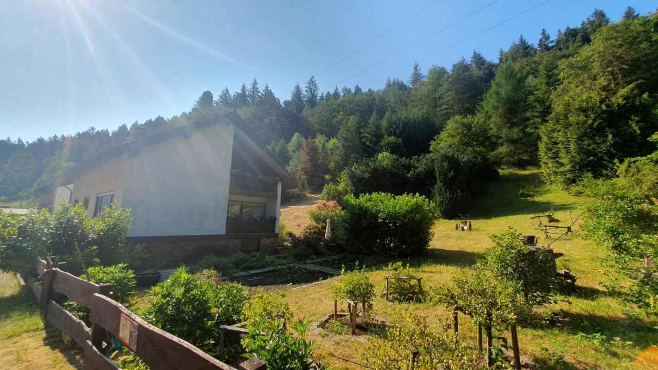 Hotel Pension Ernst Im Herzen Des Pfaelzerwaldes Mit Kueche Elmstein Esterno foto