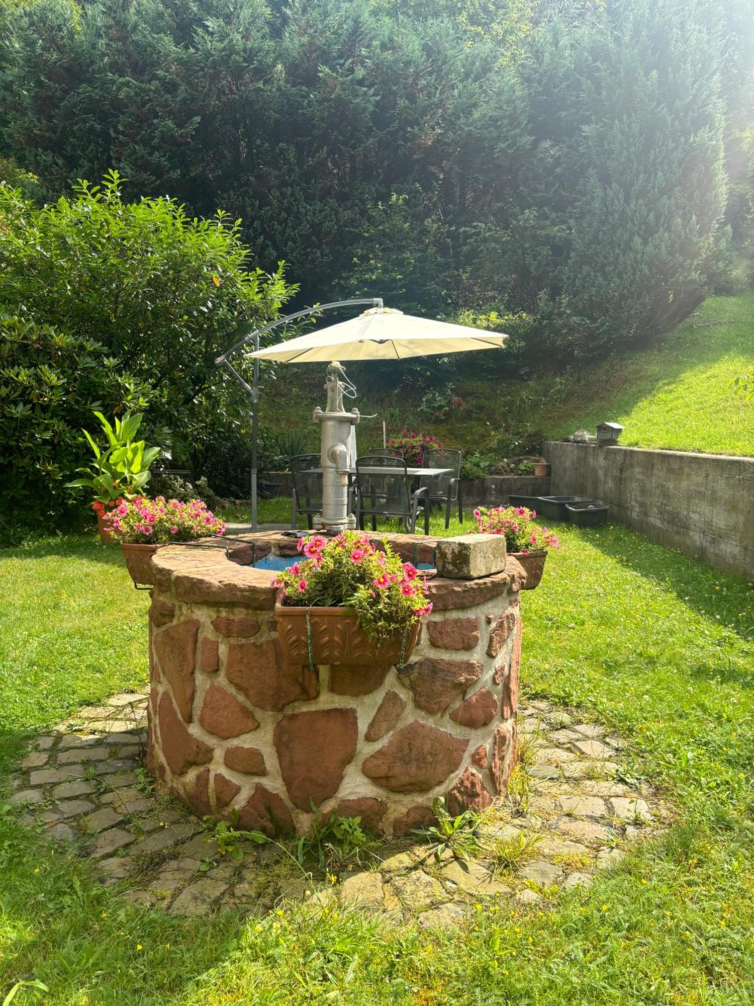 Hotel Pension Ernst Im Herzen Des Pfaelzerwaldes Mit Kueche Elmstein Esterno foto