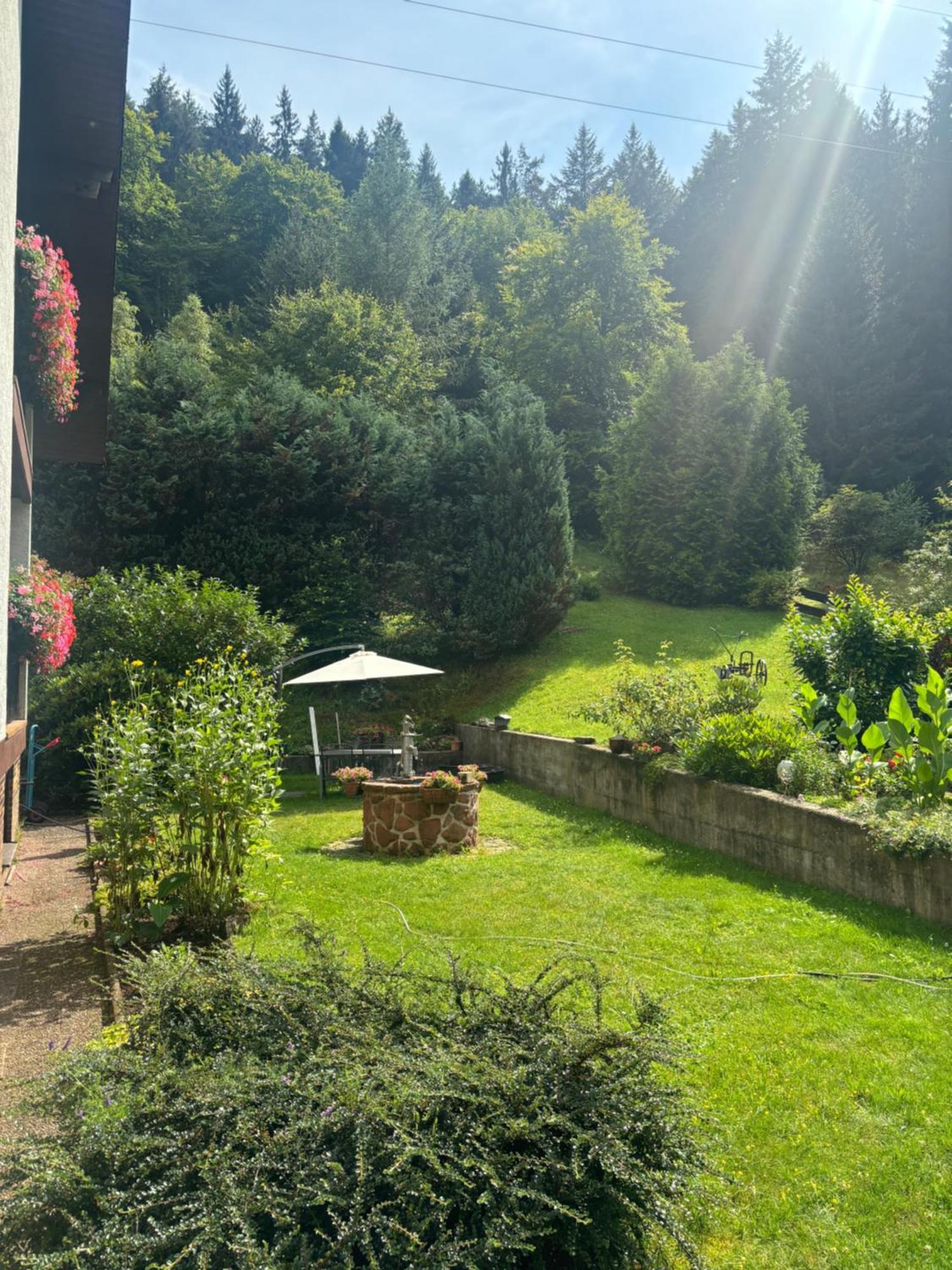Hotel Pension Ernst Im Herzen Des Pfaelzerwaldes Mit Kueche Elmstein Esterno foto
