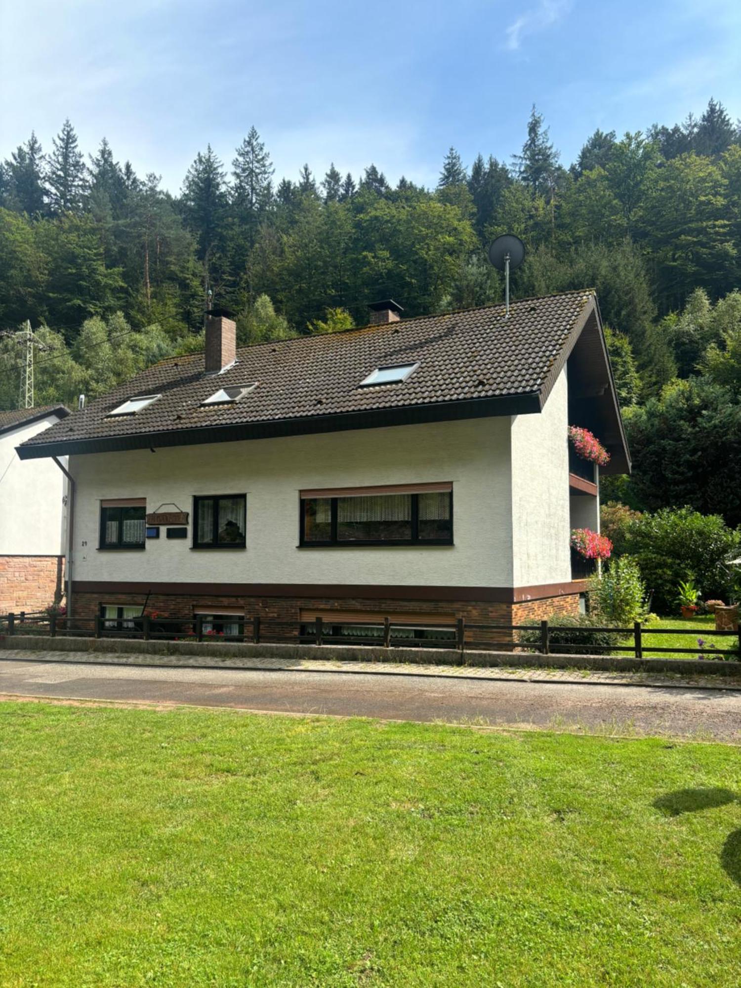 Hotel Pension Ernst Im Herzen Des Pfaelzerwaldes Mit Kueche Elmstein Esterno foto